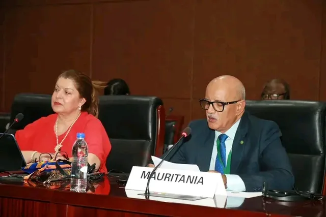 Mauritanian delegation before the African child rights committee