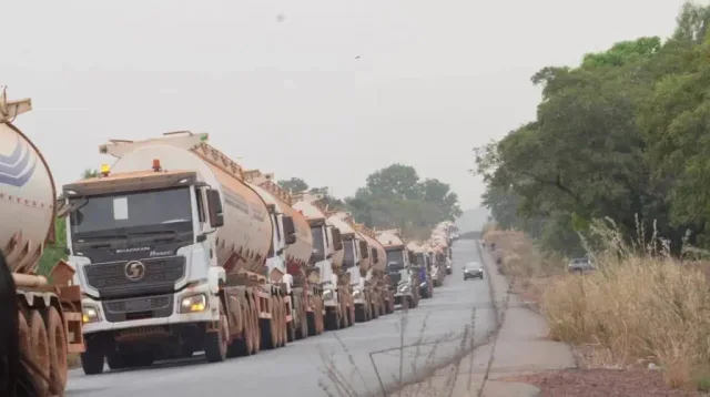 A long line of fuel tanker trucks on a tree-lined road, file photo