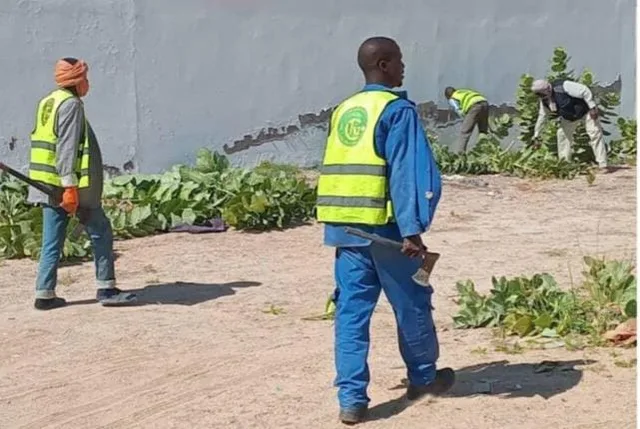 Cleaning workers in yellow vests clearing weeds by a roadside