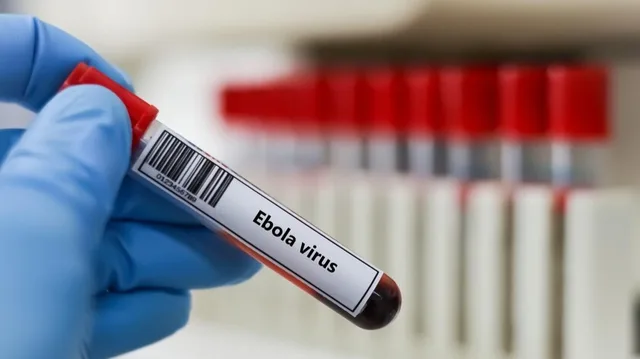 A blue-gloved hand holds a sample tube labelled Ebola virus, illustrative image