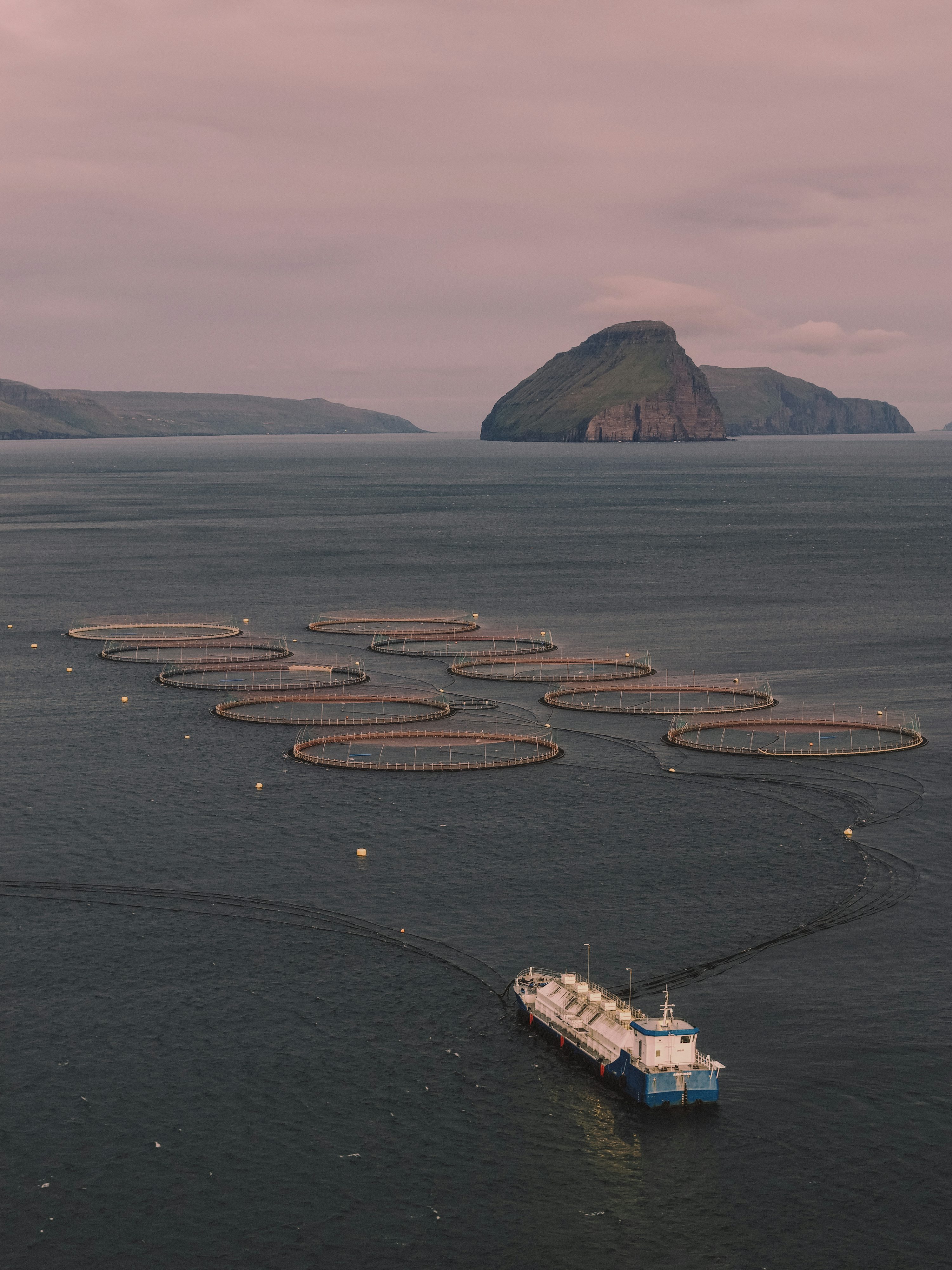 Illustrative archive photograph of fish-farm cages and a service boat in the Faroe Islands, published September 2025; not Mauritania or an identified investigation site