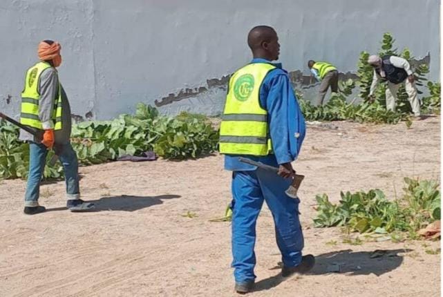Cleaning workers in high-visibility vests clear a roadside