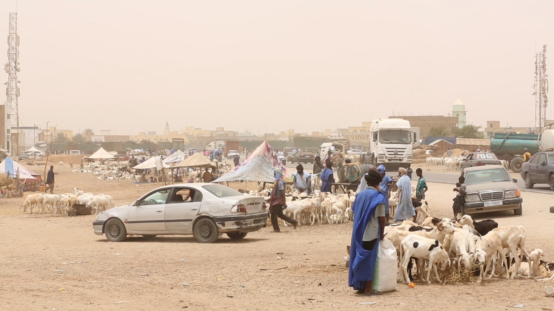 Flocks of sheep, sellers and buyers at an open-air livestock market under a dusty sky, file photo
