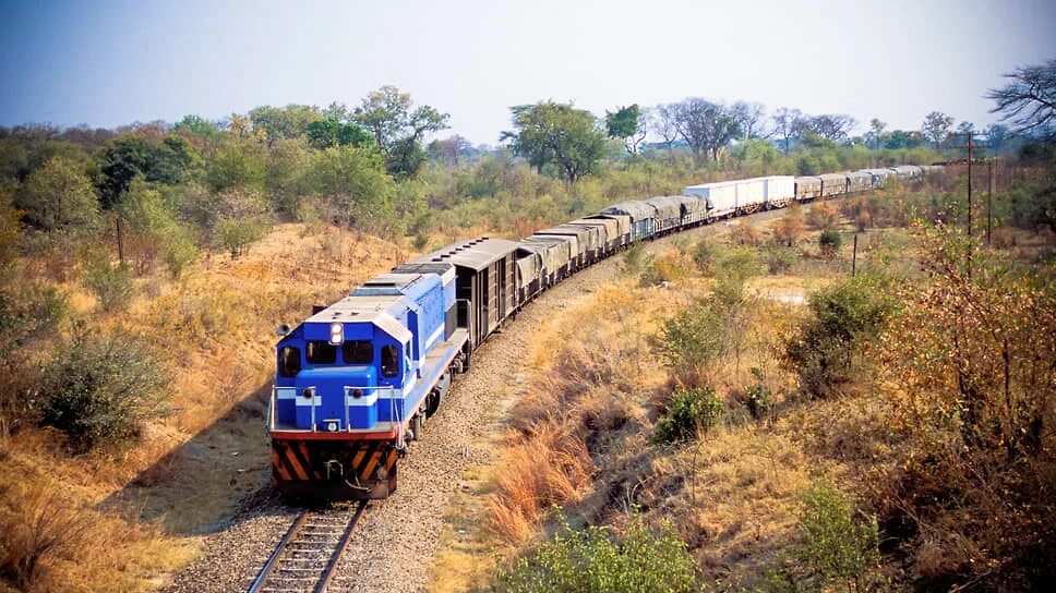 A blue diesel locomotive pulling freight wagons on a single track through bushland, file illustration