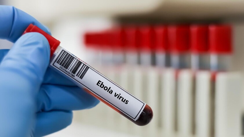 A blue-gloved hand holds a sample tube labelled Ebola virus, illustrative image