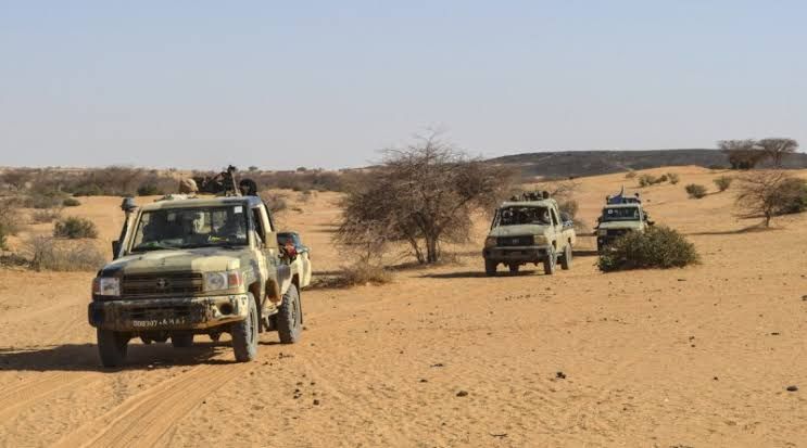 Malian army says it targeted armed-group positions in Dioura and Mondoro