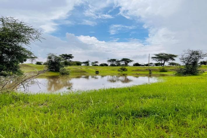 Forecast calls for up to 90 mm of rain in Nouakchott and Trarza